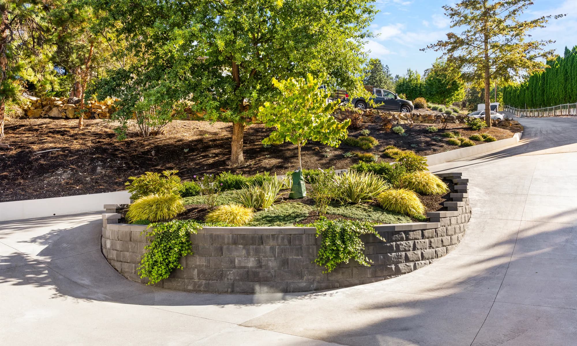 retaining wall and trees and vines