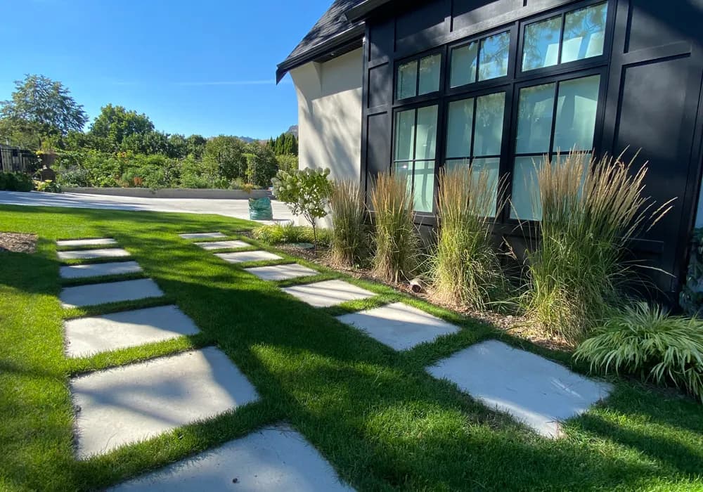 green grass and grasses stone