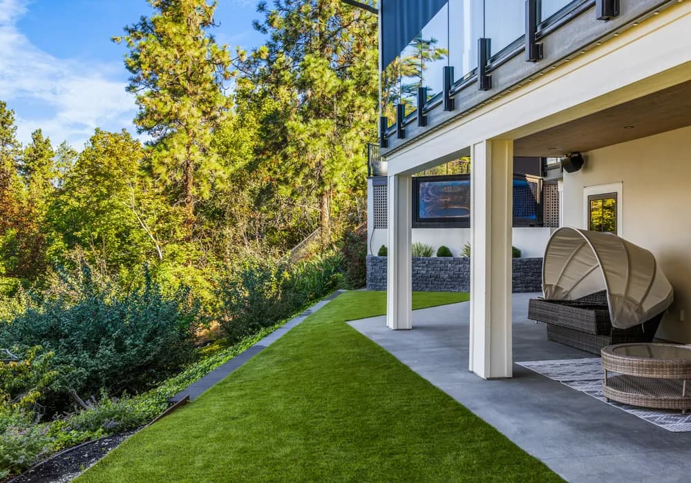 green lawn and bushes