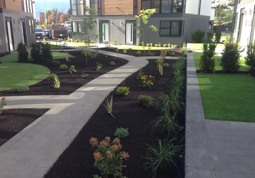 mulch and stone walkway and grasses and hedges