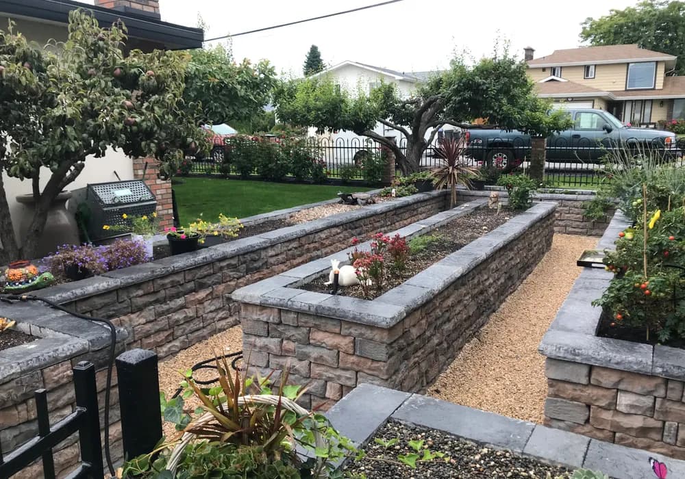 raised garden bed and trees
