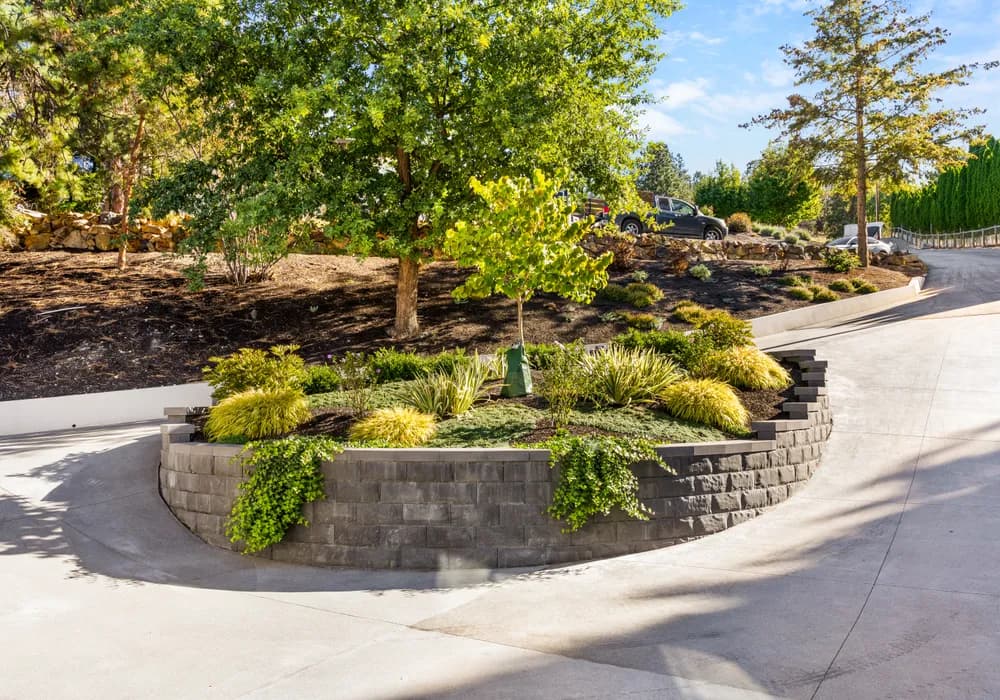 retaining wall and trees and vines