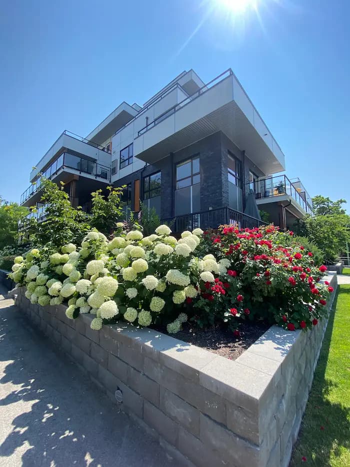 Softscape garden, retaining wall, with hanging plants by Empire Landscaping.