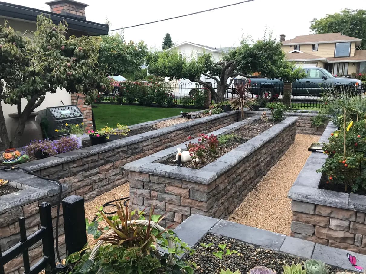 Raised stone garden beds with exotic trees in the background including a green yard