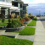 planter beds for a commercial town home project in Peachland