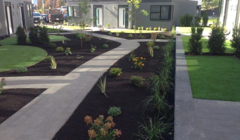 paver walkway with mulch bed